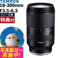 レビューでレンズキャッププレゼント  バッグ付き！ タムロン 18-300mm F3.5-6.3 Di III-A VC VXD ソニーEマウント用 B061S