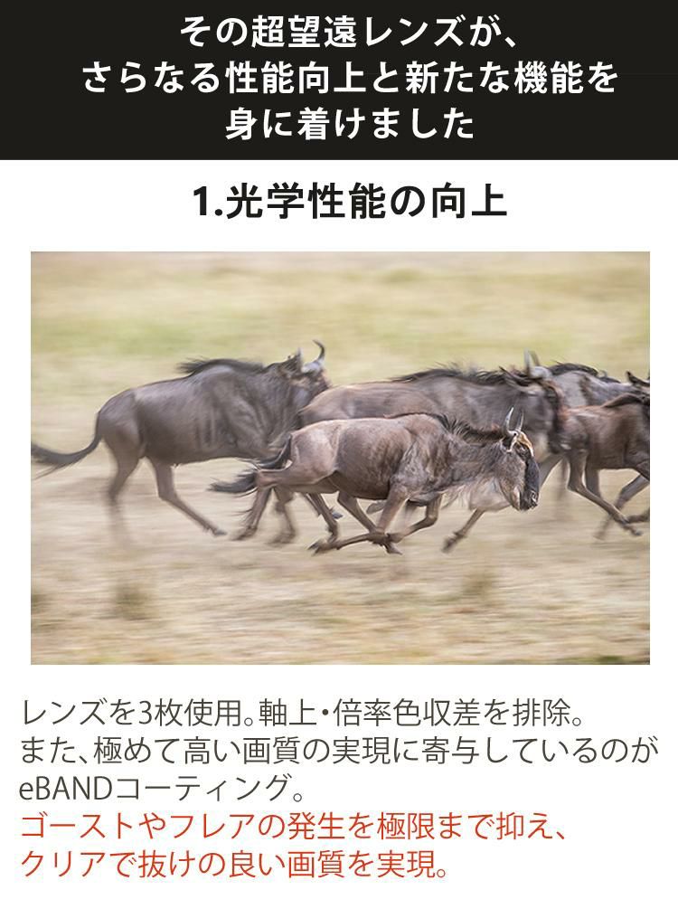 レビューでプレゼント タムロン SP 150-600mm F/5-6.3 Di VC USD G2 キヤノンマウント用 A022E