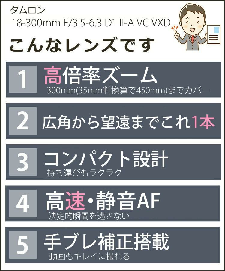 レビューでプレゼント タムロン 18-300mm F3.5-6.3 Di III-A VC VXD ソニーEマウント用 B061S