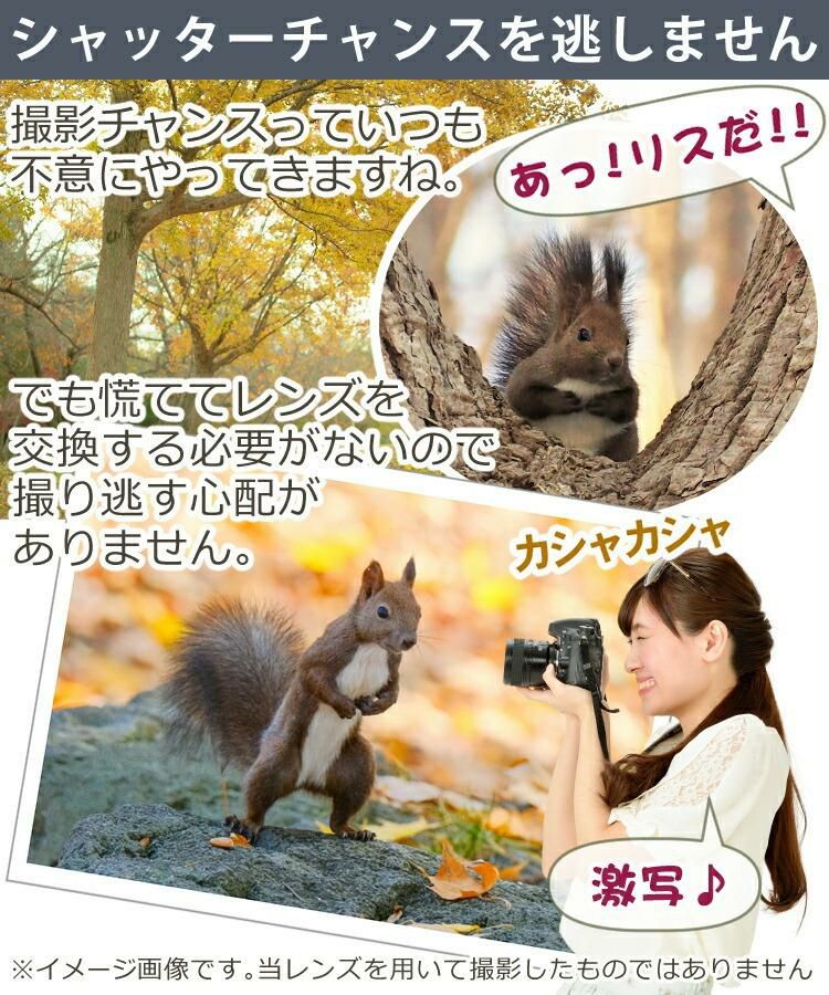 レビューでプレゼント タムロン 18-300mm F3.5-6.3 Di III-A VC VXD ソニーEマウント用 B061S