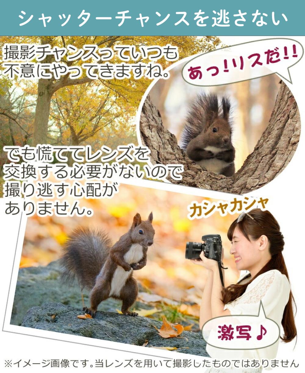 レビューでプレゼント  レンズ保護フィルター付 タムロン 18-300mm F3.5-6.3 Di III-A VC VXD ソニーEマウント用 B061S