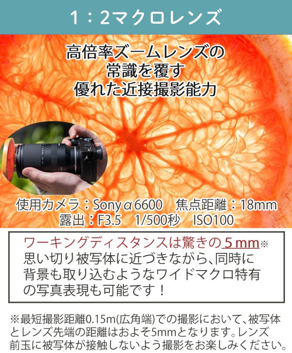 レビューでプレゼント  レンズ保護フィルター付 タムロン 18-300mm F3.5-6.3 Di III-A VC VXD ソニーEマウント用 B061S