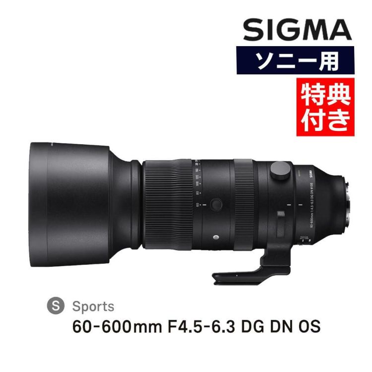 レビューでレンズキャッププレゼント  お手入れ6点セット  レンズ シグマ SIGMA 60-600mm F4.5-6.3 DG DN OS S  ソニーEマウント用