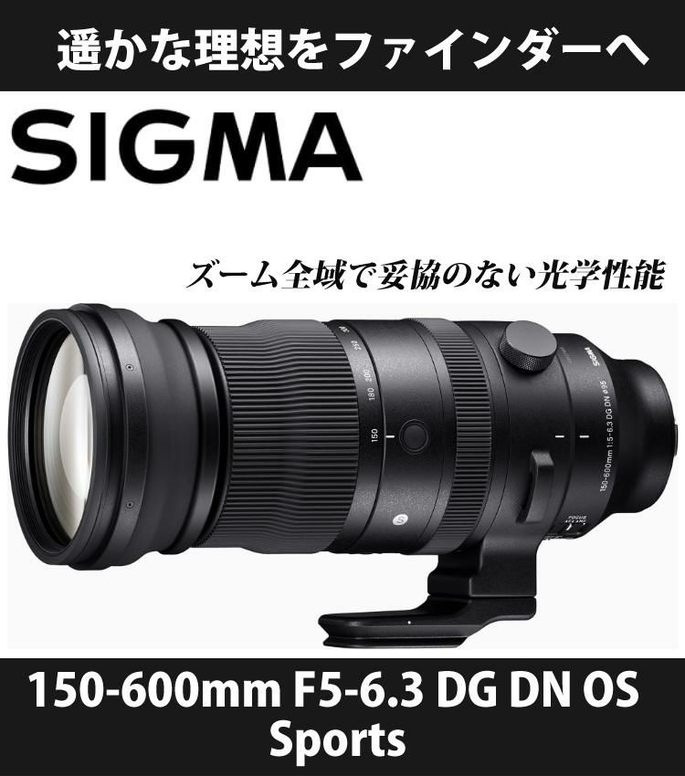 レビューでキャッププレゼント  ケンコー高品質フィルターセット シグマ SIGMA 150-600mm F5-6.3 DG DN OS Sports ソニーEマウント用＆ プロテクター