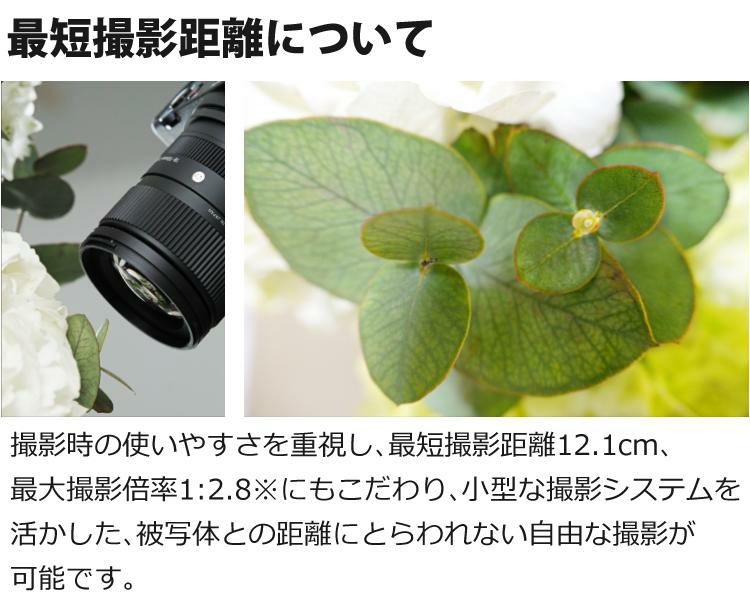 レビューでレンズキャッププレゼント  強化ガラス保護フィルターセット シグマ SIGMA 18-50mm F2.8 DC DN C  Lマウント用