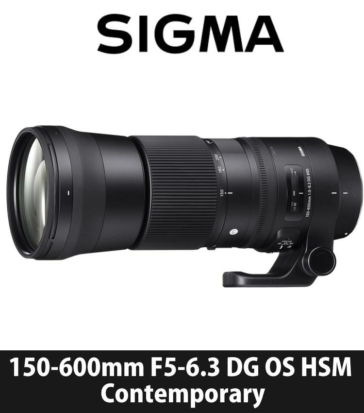 レビューでキャッププレゼント  ケンコー高品質フィルターセット シグマ 150-600mm F5-6.3 DG OS HSM  C  キヤノン用＆ケンコー ZXII プロテクター