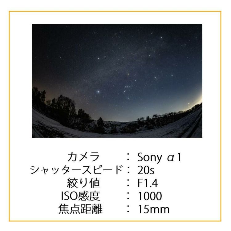 レビューでレンズキャッププレゼント SIGMA 15mm F1.4 DG DN DIAGONAL FISHEYE A ソニーEマウント用