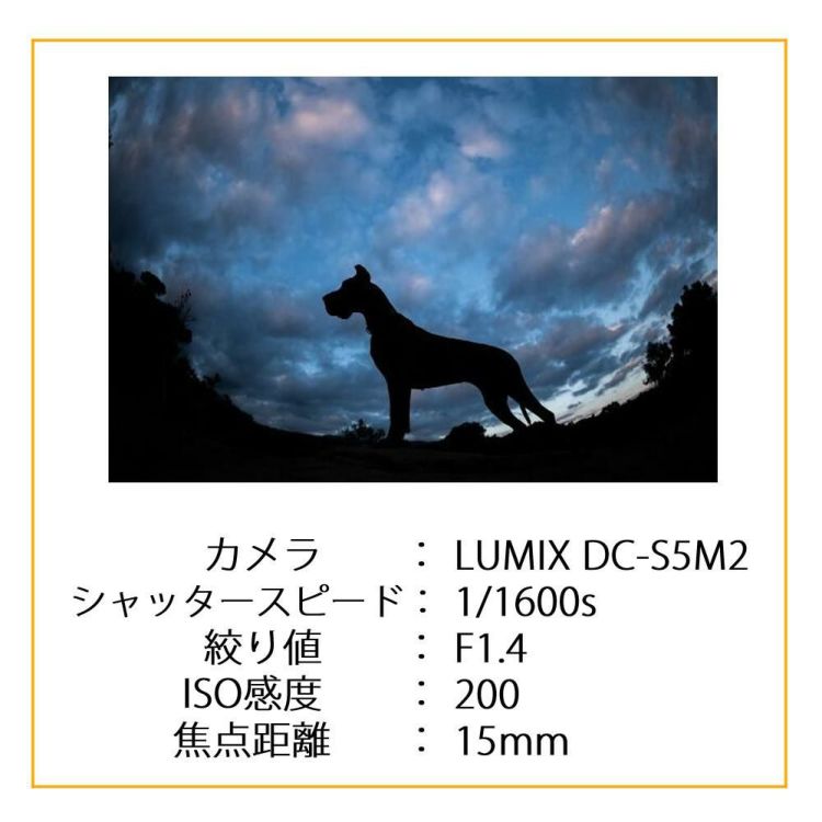 レビューでレンズキャッププレゼント SIGMA 15mm F1.4 DG DN DIAGONAL FISHEYE A ソニーEマウント用