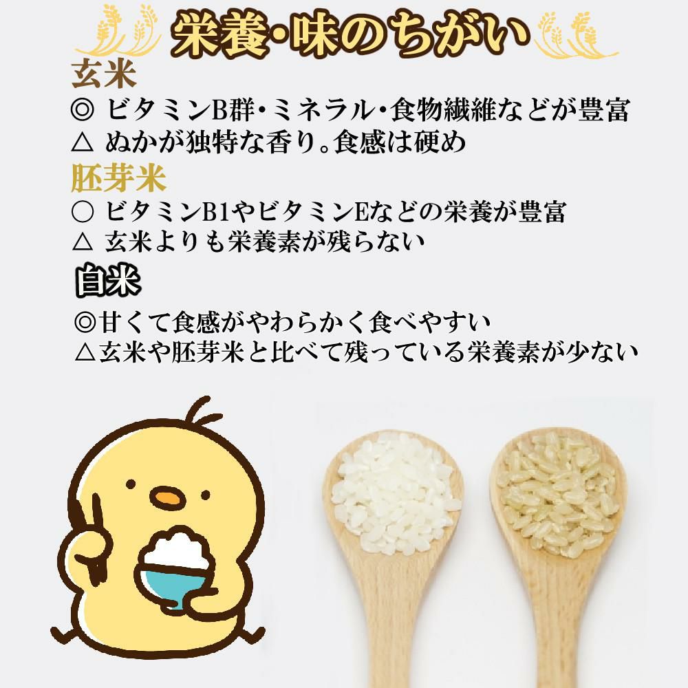 山本電気 YAMAMOTO 胚芽ごはん 胚芽抽出機 YE-HG18A