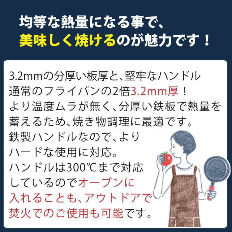 リバーライト 極PRO 鉄製 20cm 鉄フライパン ガス IH対応 2大特典付き ラッピング不可