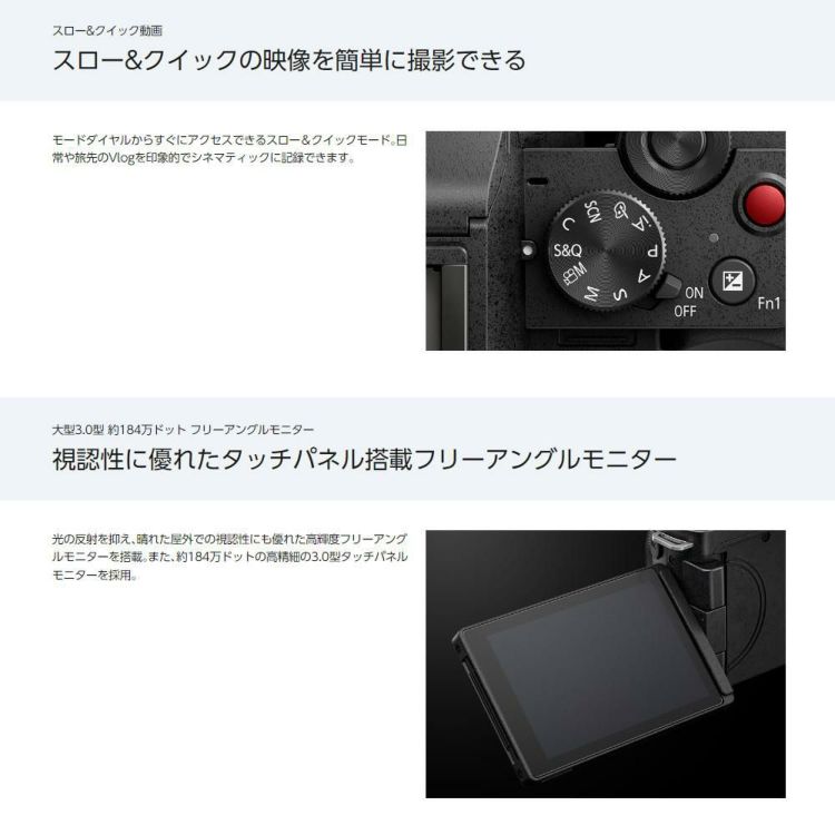 パナソニック ミラーレス一眼カメラ LUMIX DC-G100K-K 12-32 標準ズームレンズキット