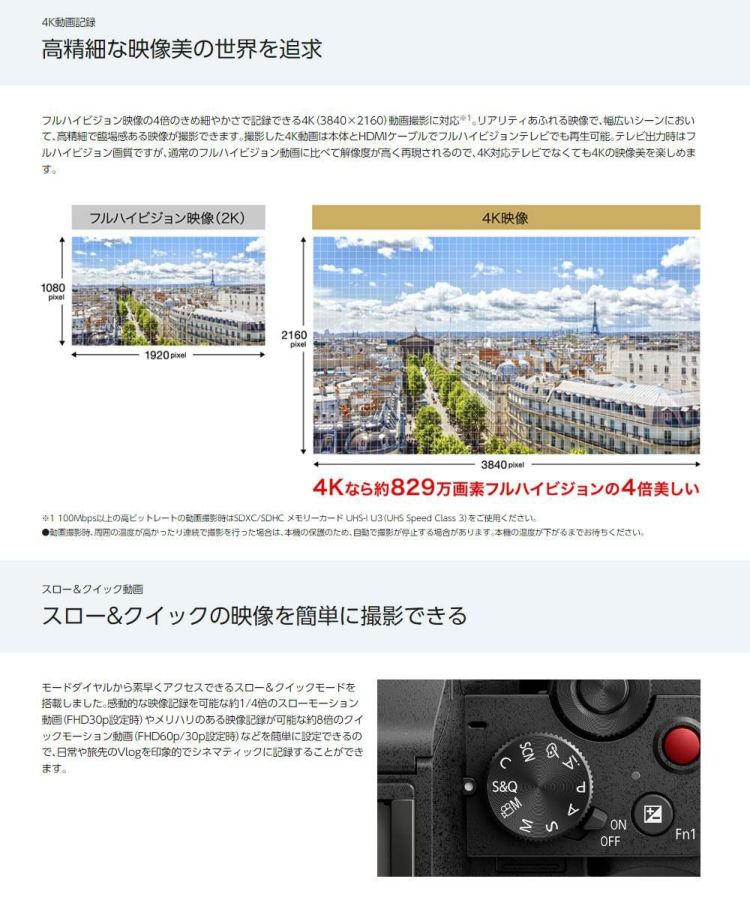 パナソニック ミラーレス一眼カメラ LUMIX DC-G100K-K 12-32 標準ズームレンズキット