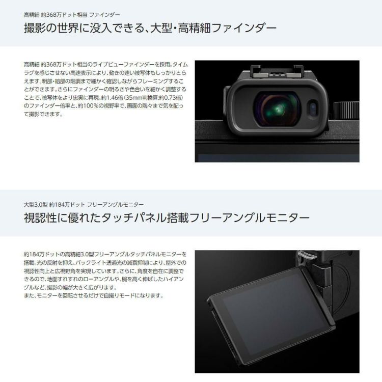 パナソニック ミラーレス一眼カメラ LUMIX DC-G100K-K 12-32 標準ズームレンズキット