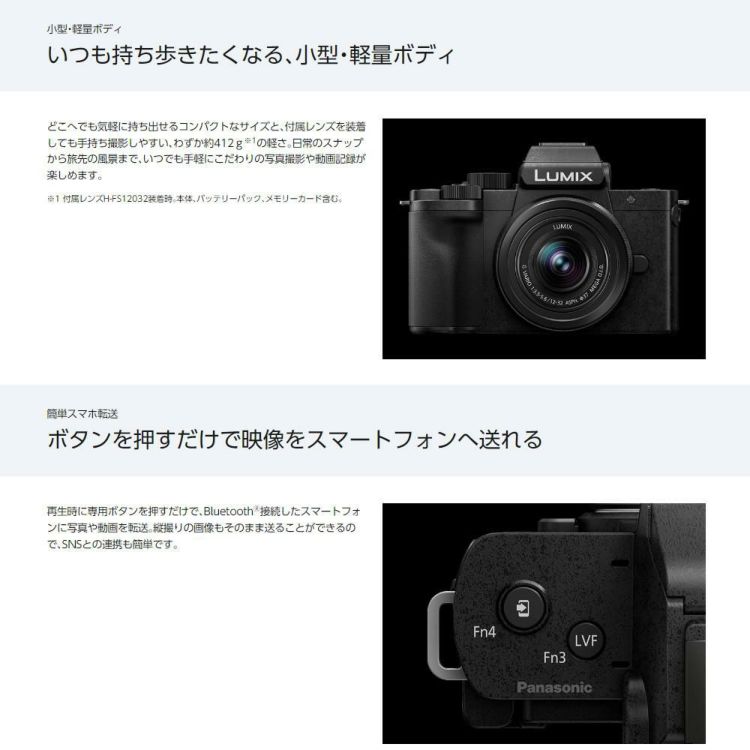 パナソニック ミラーレス一眼カメラ LUMIX DC-G100K-K 12-32 標準ズームレンズキット