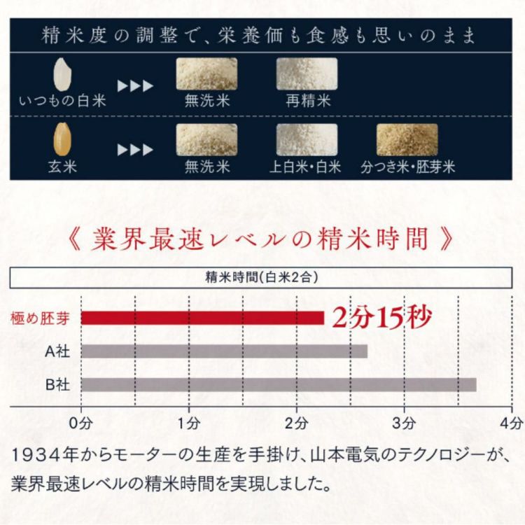 選べるTower特典付き 山本電気 ライスクリーナー 極め胚芽 家庭用 精米機 YE-RC21A