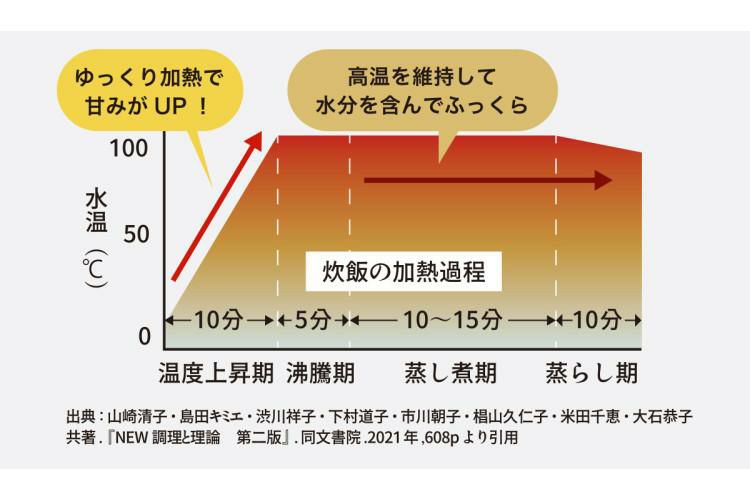 ドリテック 四日市萬古焼 ごはん鍋 IH調理器セット DI-228BKSET レシピブック付