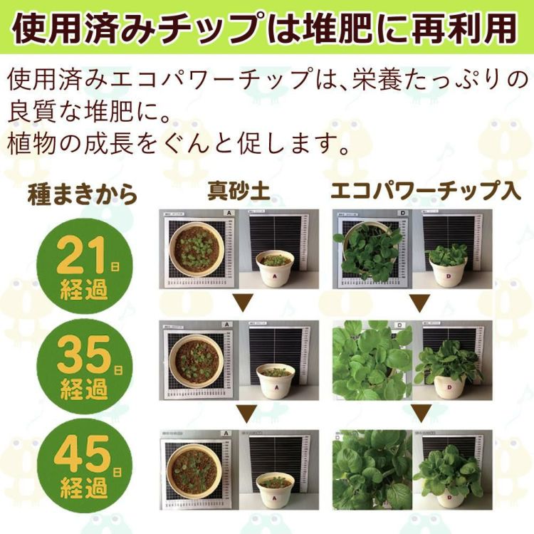 自然にカエル S SKS-101型 生ごみ処理機 交換用 エコパワーチップ 8W セット  ラッピング不可