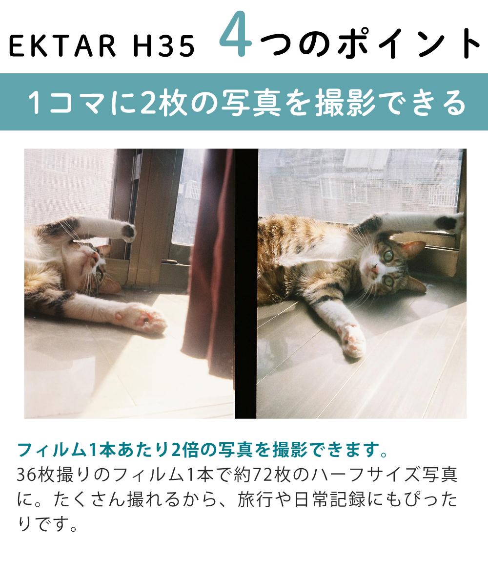 カラーフィルム・電池セット KODAK  コダック  H35 フィルムカメラ インスタントカメラ EKTAR H35 ブラウン シンプル フラッシュ内蔵 簡単 Kodak エクター