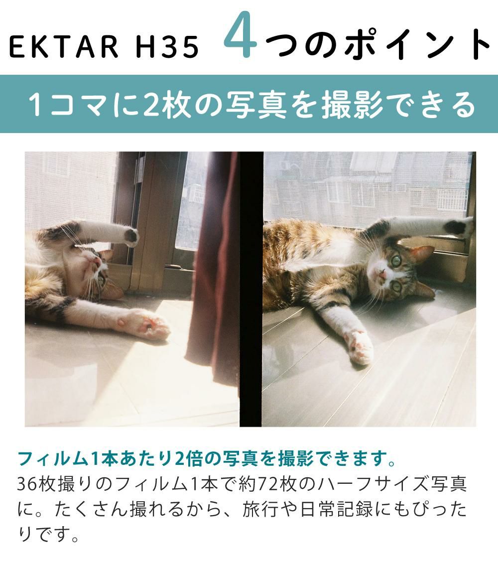 カラーフィルム・電池セット KODAK  コダック   H35 フィルムカメラ インスタントカメラ EKTAR H35 セージ シンプル フラッシュ内蔵 簡単 Kodak エクター