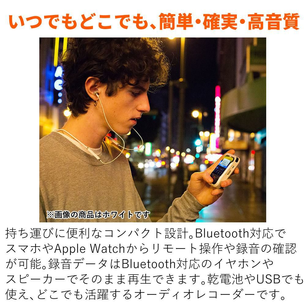 Roland ローランド BK ブラック オーディオレコーダー ラッピング不可