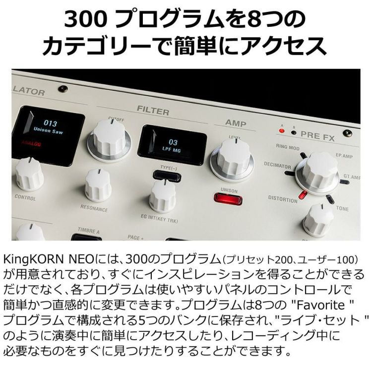 セット  シンセサイザー KORG KingKORG NEO ＆ クロス