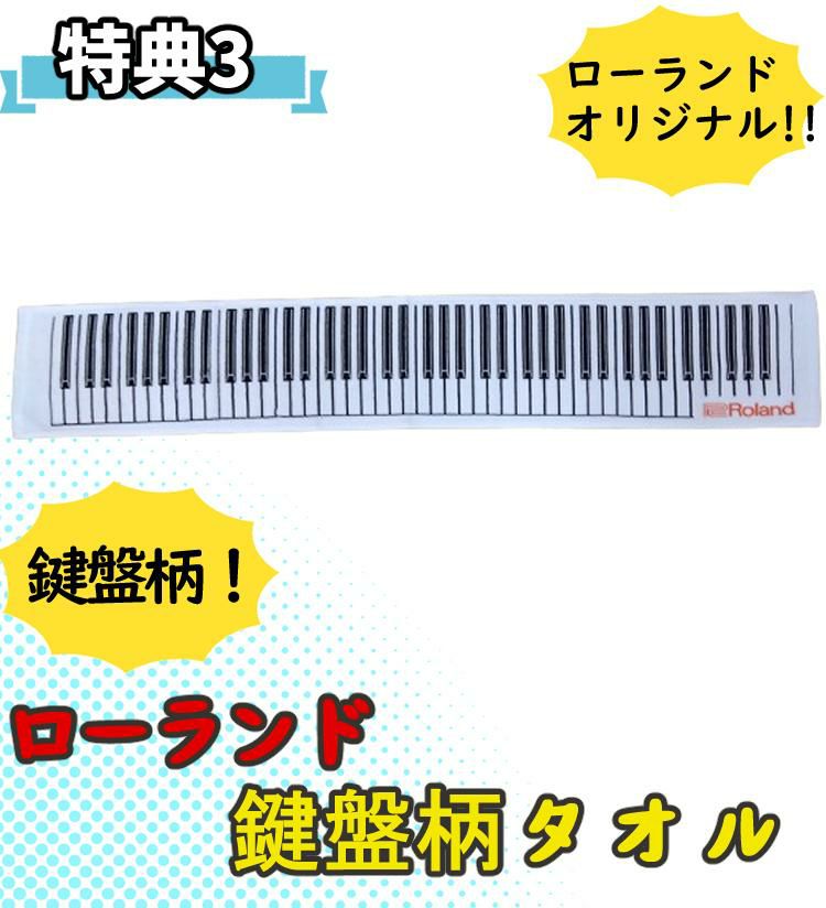 豪華3大特典付き  Roland GO-61K Entry Keyboard Roland ＆ キャリングケース ＆ ローランドタオル二種  ラッピング不可