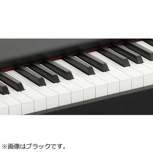 コルグ KORG 電子ピアノ88鍵 D1 WH ホワイト 白 スピーカーレス 30種類のサウンド 譜面立て ＆ ペダル ＆ ヘッドフォン付属 ラッピング不可