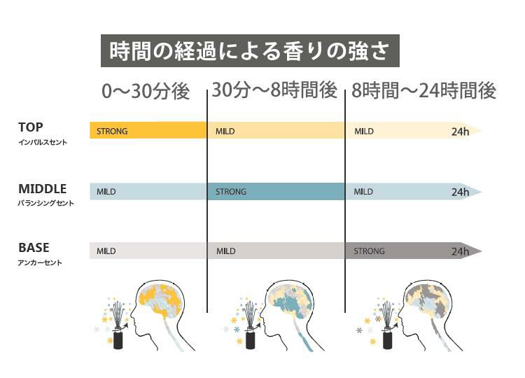 アシュレイ＆バーウッド フレグランス オイル リラクゼーション 500ml フレグランスランプ専用 PFL950 ランプ フレグランス アシュレイアンドバーウッド