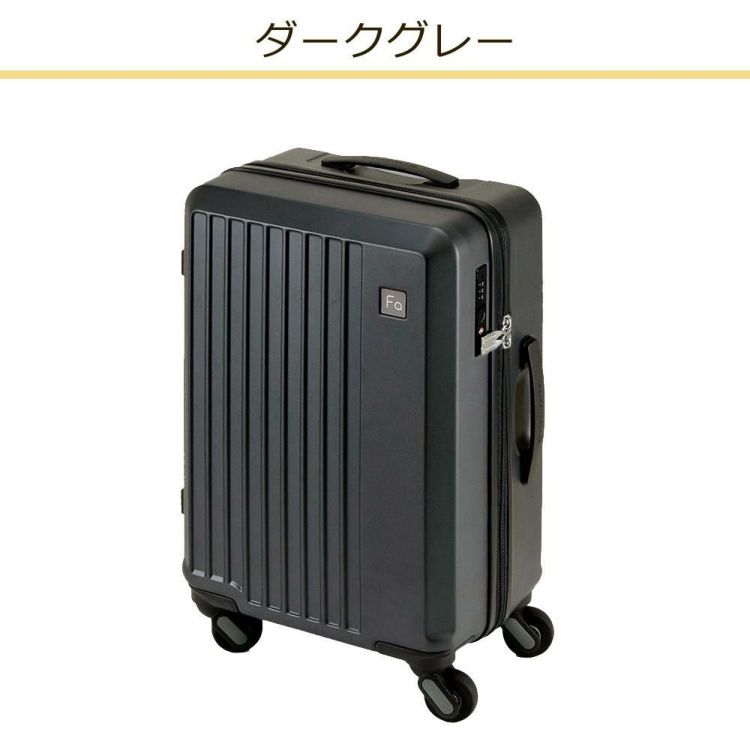 スーツケース フリクエンター リエーヴェ 1-250 エンドー鞄 33L 機内持ち込み可能 1泊 2泊 3泊 Sサイズ 旅行  ラッピング不可