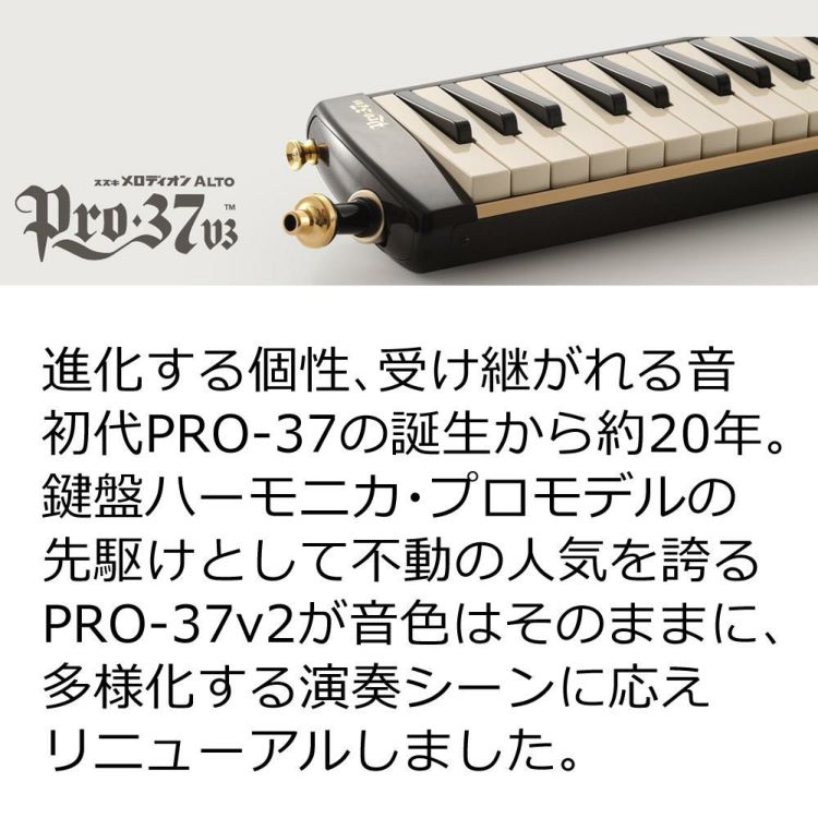 スズキ 鍵盤ハーモニカ メロディオン アルト PRO-37v3  3点セット