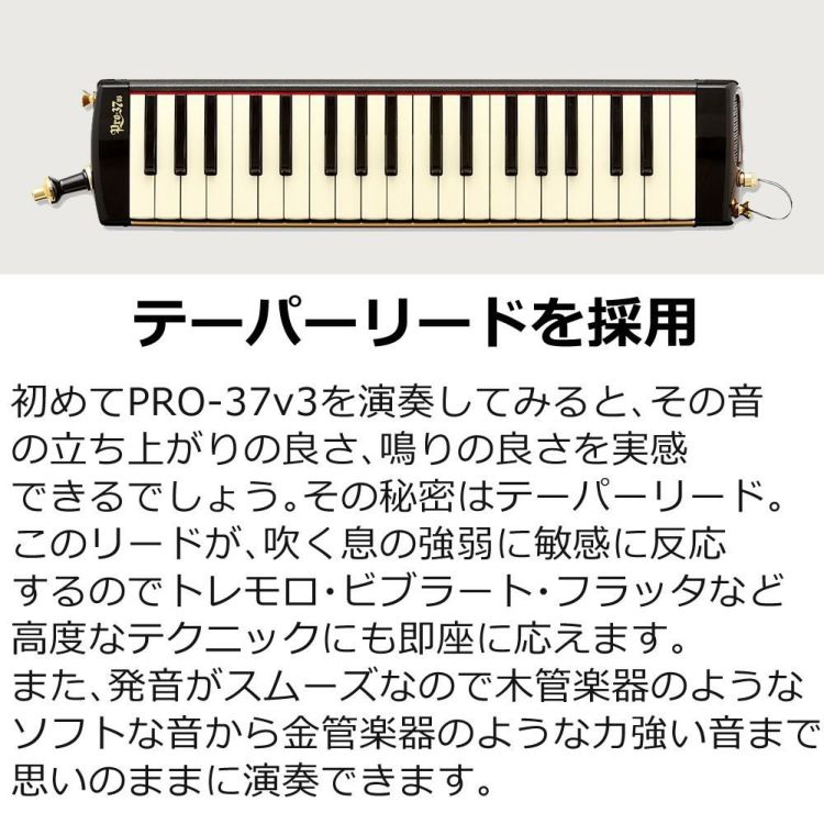 スズキ 鍵盤ハーモニカ メロディオン アルト PRO-37v3  3点セット