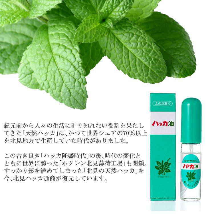 ミントの香りが広がる！　北見ハッカ通商 6038 Mint Incense ミントインセンス  お香 線香