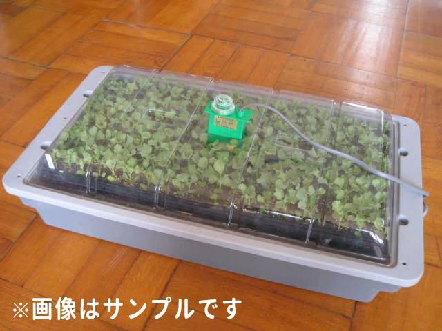 グリーンサーモ  昭和精機工業 12F 温度管理用スイッチ 昭和精機 サーモ 夏 冬 温室 園芸 ガーデニング 防湿型   蜜閉式   ラッピング不可