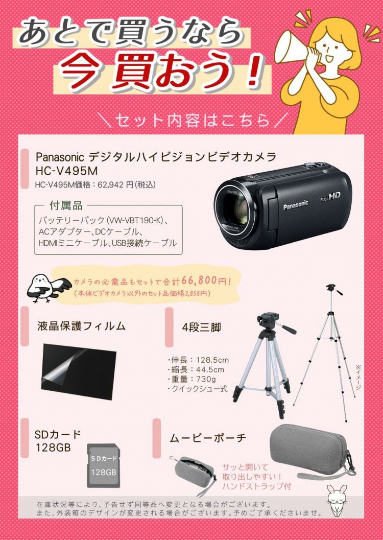 Panasonic パナソニック デジタルハイビジョンビデオカメラ HC-V495M 三脚・ポーチ等5点セット