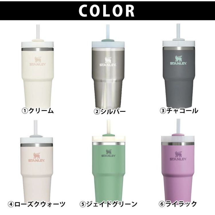 スタンレー ボトル  H2.0 真空スリムクエンチャー  0.6L 10826