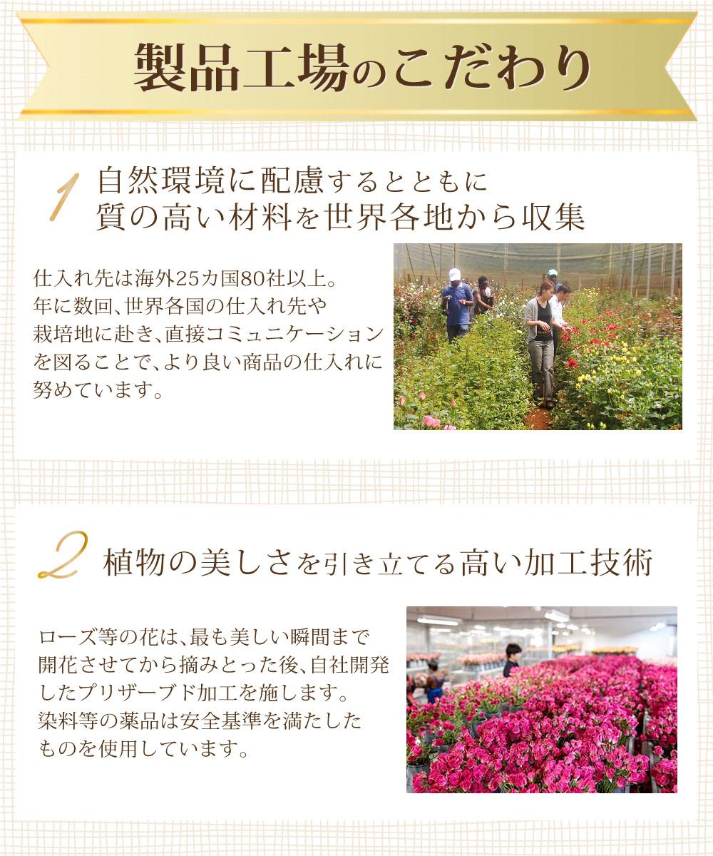 リース プリザーブドフラワー  リース 母の日 ローズ バラ フラワーアレンジメント ピンク ラベンダー