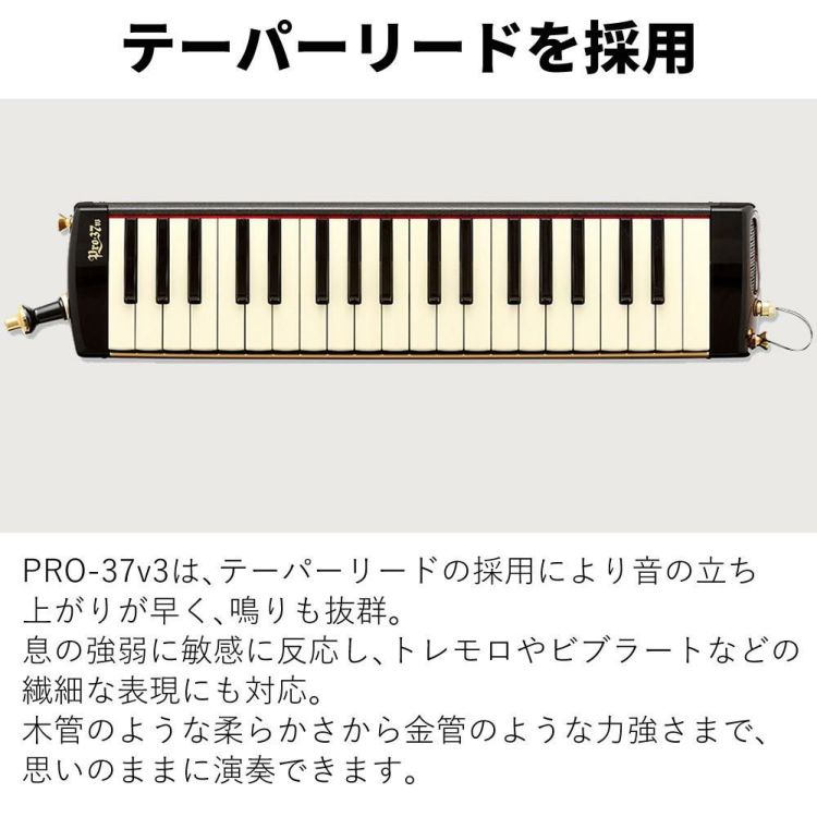 SUZUKI スズキ 鍵盤ハーモニカ メロディオン アルト PRO-37v3  ラッピング不可