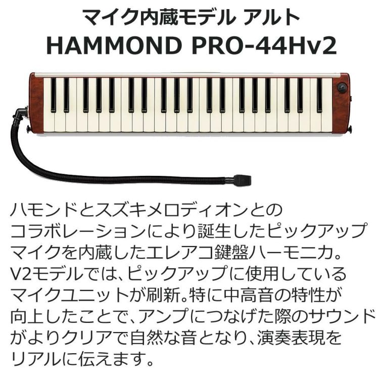 HAMMOND ハモンド HAMMOND44 PRO-44Hv2 鍵盤ハーモニカ エレアコモデル  ラッピング不可