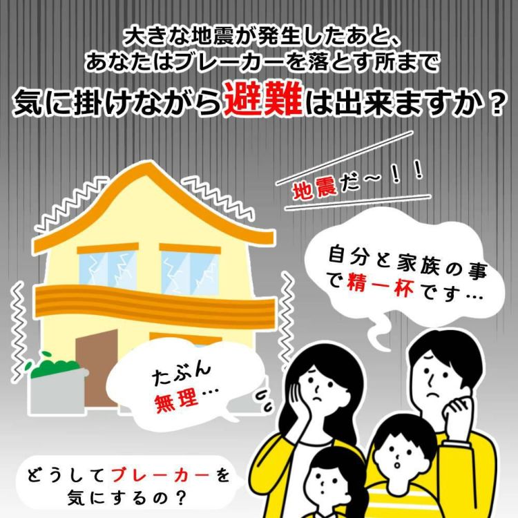 大和電器 感震ブレーカー 震太郎 X5029 コンセントキャップセット