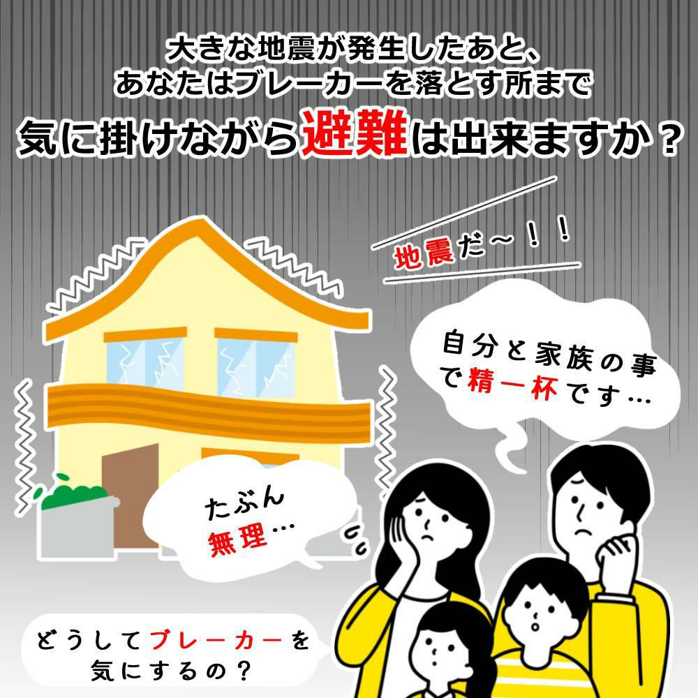 大和電器 感震ブレーカー 震太郎 X5029 コンセントキャップセット