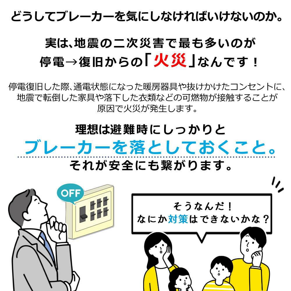 大和電器 感震ブレーカー 震太郎 X5029 コンセントキャップセット