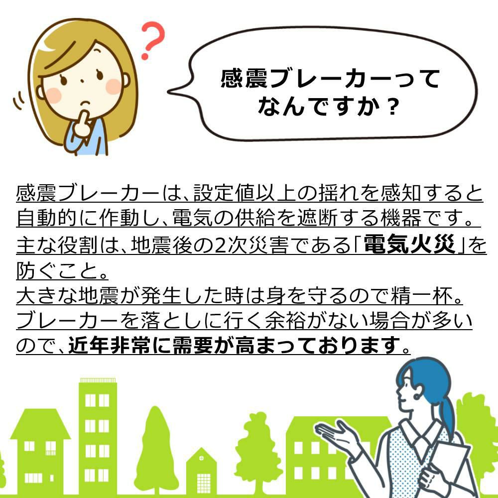 大和電器 感震ブレーカー 震太郎 X5029 コンセントキャップセット