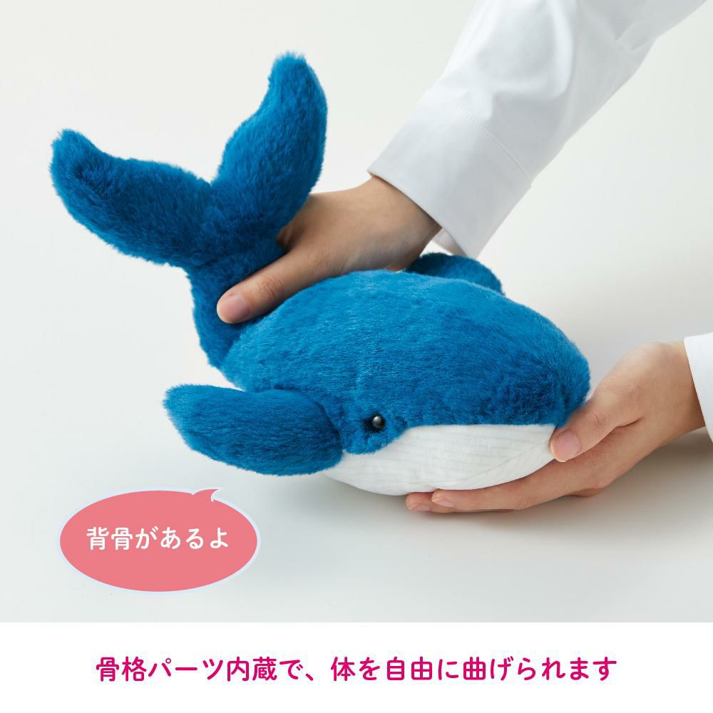 キングジム ポーズー クッション ポーチ PZC205 選べる 2点セット