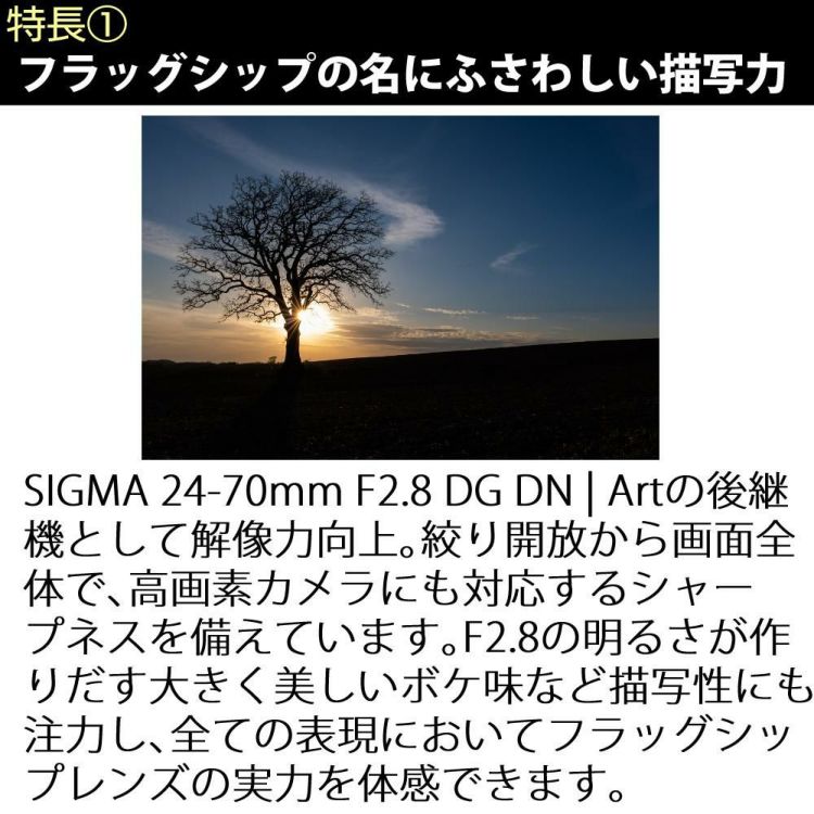 レビュープレゼント シグマ 24-70mm F2.8 DG DN II  Art   ソニーEマウント