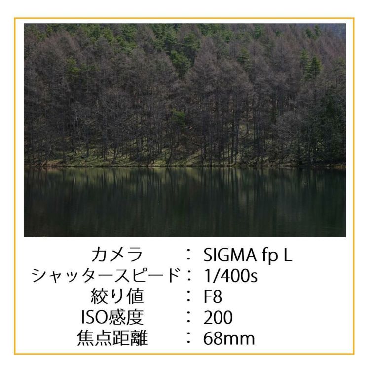 レビュープレゼント シグマ 24-70mm F2.8 DG DN II  Art   ソニーEマウント