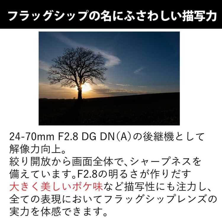 レビュープレゼント  レンズ保護フィルター付 シグマ 24-70mm F2.8 DG DN II  Art   ソニーEマウント