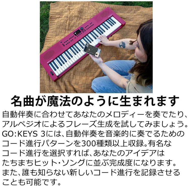 ローランド Roland GOKEYS3 GO:KEYS 3 キーボード 61鍵盤 ラッピング不可