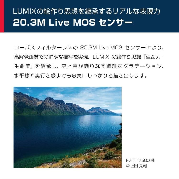 パナソニック デジタル一眼カメラ ルミックス LUMIX DC-G99DH-K ミラーレス一眼カメラ＋ズームレンズキット