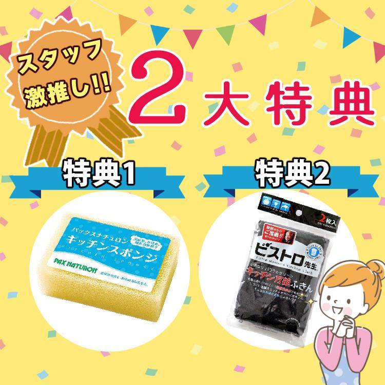 HURIEN ハイブリッド式  HD-N100 2024年モデル ふきん ＆ スポンジ ３点セット ラッピング不可