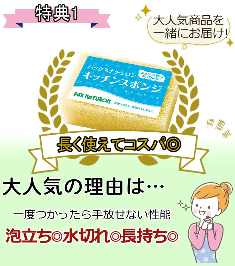 HURIEN ハイブリッド式  HD-N100 2024年モデル ふきん ＆ スポンジ ３点セット ラッピング不可